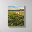 Suche nach fotografie leinwandbilder Natur