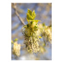 Suche nach scharf poster Modern und scharf
