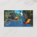 Suche nach macaw visitenkarten Tropisch