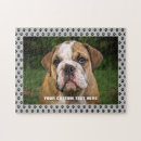 Suche nach englische bulldogge puzzle Englischer bulldog
