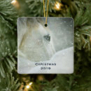 Suche nach weiße pferde ornamente Magisch
