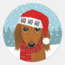 Suche nach langhaarige dackel aufkleber Weihnachten