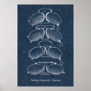 Suche nach ophthalmologist poster Optiker