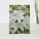 Suche nach sorgfalt postkarten Blume