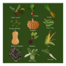 Suche nach veggie poster Vegetarisch