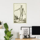 Suche nach muskeln poster Anatomie