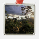 Suche nach afrika ornamente Grün