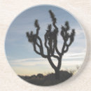 Suche nach mojave untersetzer Kalifornien