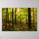 Suche nach autumn leaves poster Leaf