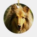 Suche nach collie ornamente Tier