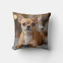 Suche nach chihuahua kissen Für alle