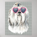 Suche nach lhasa poster Portrait