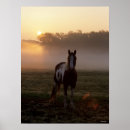Suche nach paint horse poster Stehend