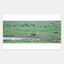 Suche nach amerikanischer bison aufkleber Tierwelt