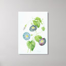 Suche nach pierre leinwandbilder Blume