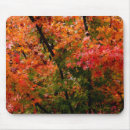Suche nach ahorn mousepads Orange