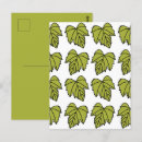 Suche nach grüne reben postkarten Pflanze