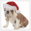 Suche nach englische bulldogge aufkleber Weihnachten