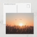 Suche nach schilf postkarten Sonnenaufgang