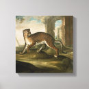 Suche nach jaguar leinwandbilder Wild