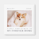 Suche nach ewig magnete Foto