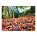 Suche nach teppich poster Natur