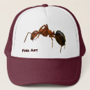Suche nach es ist nicht eine wanze kappen Entomologie