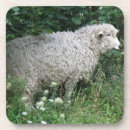 Suche nach sheep untersetzer Niedlich