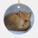 Suche nach die füchse ornamente Fuchs