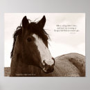 Suche nach braunes pferd poster Weiß