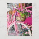 Suche nach rosa fahrrad postkarten Blume