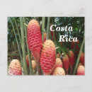 Suche nach costa rica postkarten Lateinamerika