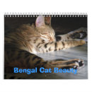 Suche nach schönheit kalender Katze