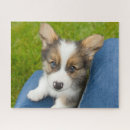 Suche nach corgi puzzle Welpe