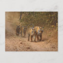 Suche nach bengalen postkarten Indien