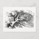 Suche nach cheshire katze postkarten John tenniel