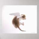 Suche nach unschuld poster Horizontal