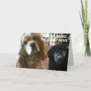 Suche nach cocker spaniel geburtstag karten Familie