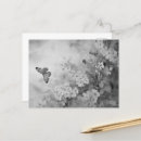 Suche nach schwarzer schmetterling postkarten Jede person