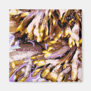 Suche nach algen magnete Für alle