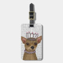 Suche nach chihuahua accessoires Tiere