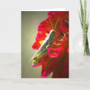 Suche nach grasgrün postkarten Insekten