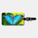 Suche nach morpho gepäckanhänger Schmetterling