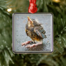 Suche nach kleine vögel ornamente Tiere