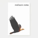 Suche nach adler post it Raptor