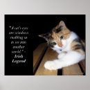 Suche nach katzenauge poster Kätzchen