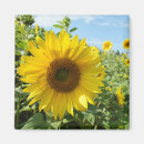Suche nach pflanzen sie blume magnete Für sie