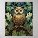 Suche nach eule poster Generativekonzent