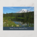 Suche nach der mount rainier Natur