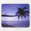 Suche nach einsam mousepads Silhouette
